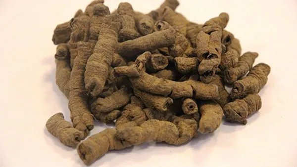 肿瘤最新研究进展 抗肿瘤药物的研究进展