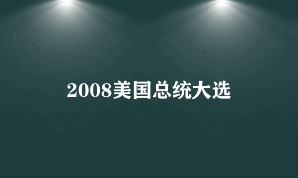 2008美国总统大选