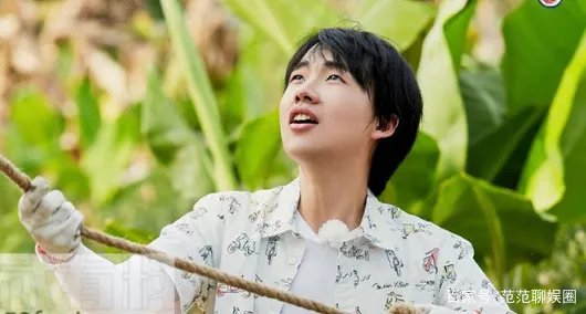 张婧仪和周迅是什么关系？为什么会去向往的生活？