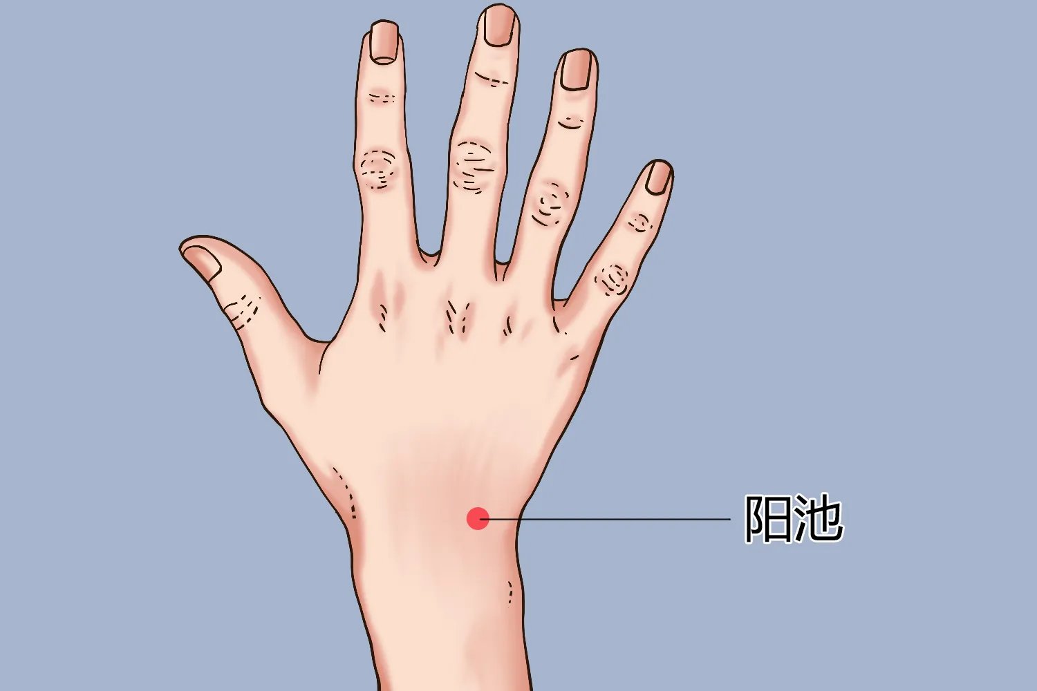 通大便按摩身体哪些部位