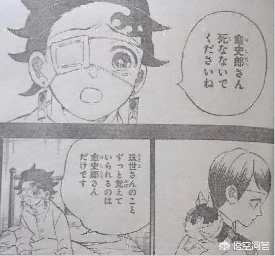 《鬼灭之刃》204有最新情报了吗?