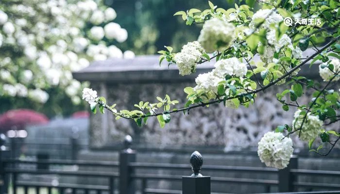 先考是什么意思