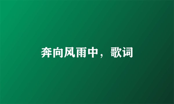 奔向风雨中，歌词