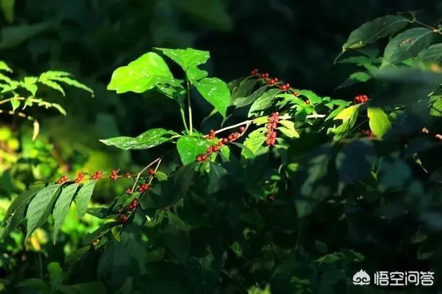 你有哪些喜欢的句子想要分享吗?