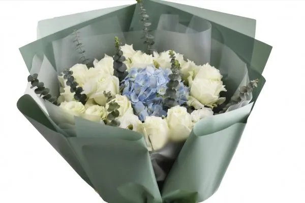 著名数学家，武汉大学原校长齐民友逝世，他生前有过哪些贡献？