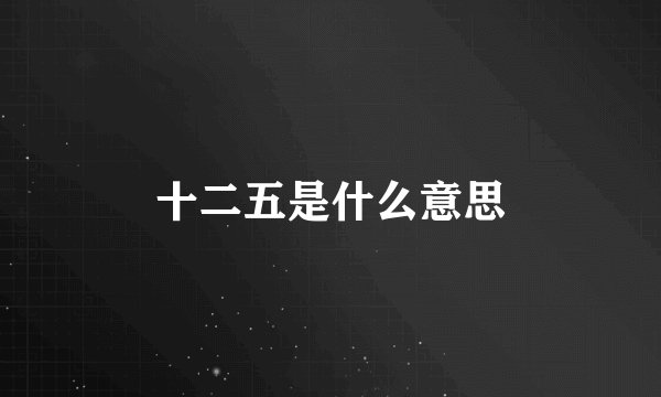 十二五是什么意思