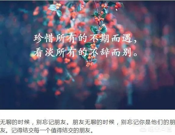 你有哪些喜欢的句子想要分享吗?