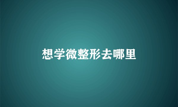 想学微整形去哪里