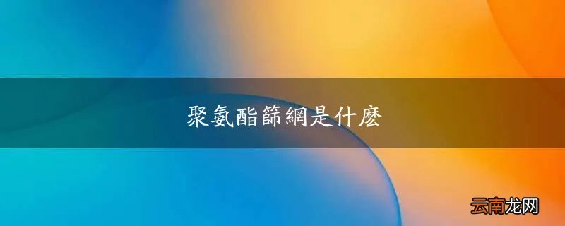 聚氨酯筛网是什么