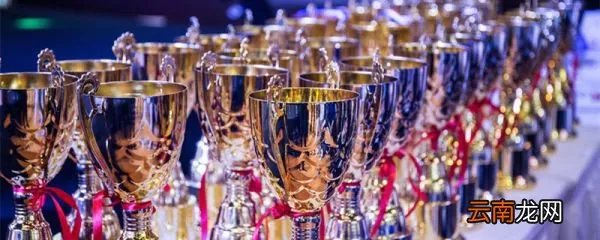 什么是卫冕冠军 成功卫冕冠军是什么意思