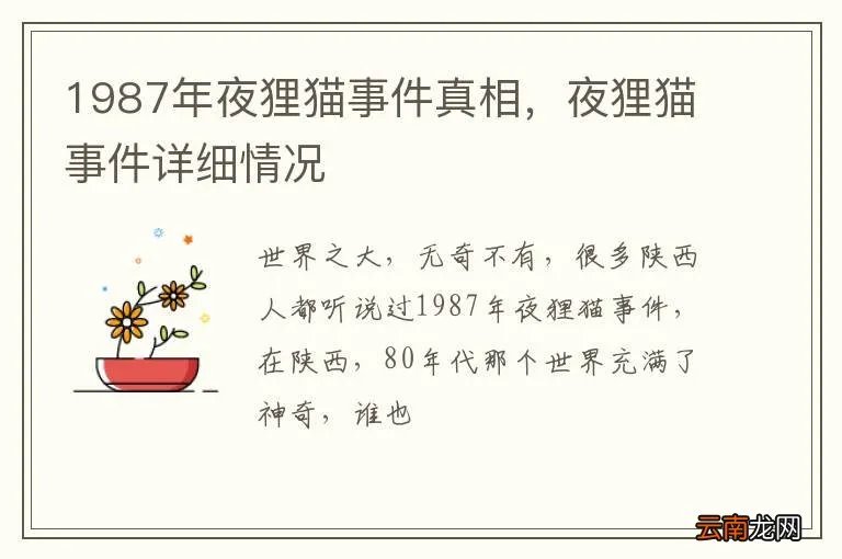 1987年夜狸猫事件真相,夜狸猫事件详细情况