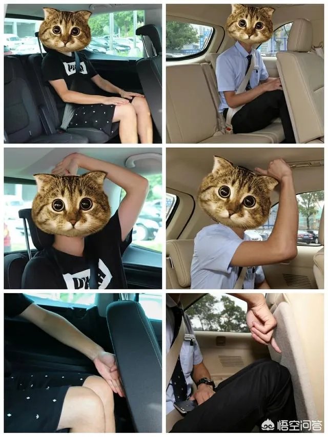 夏朗论坛汽车之家