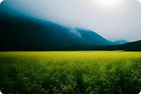 芜湖结婚的同性恋怎么样勒