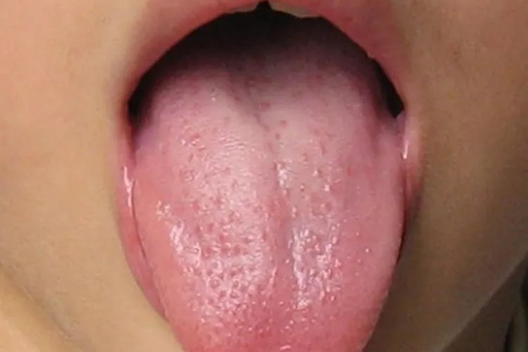 人的五官指什么部位