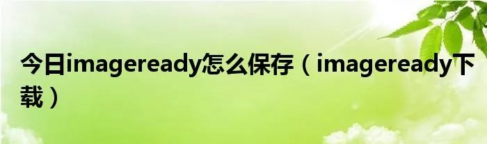 今日imageready怎么保存（imageready下载）