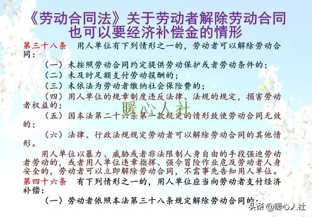 网易前离职员工谈绩效不达标被辞退,你遇到过这样的公司吗,是怎样的?