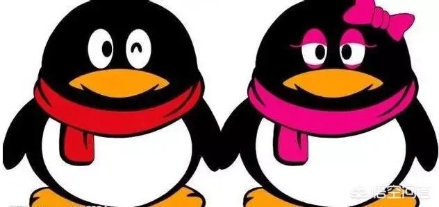 qq宠物停运论坛