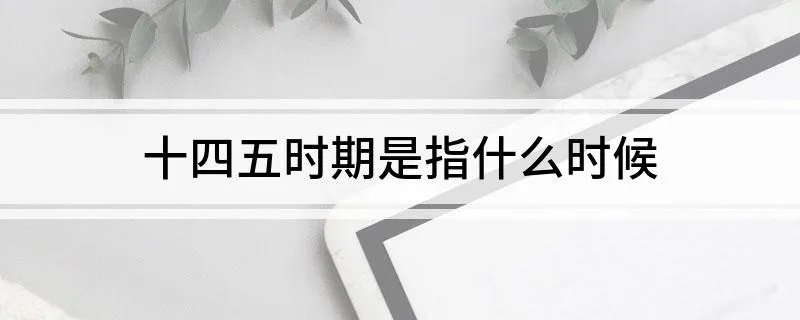 十四五时期是指什么时候