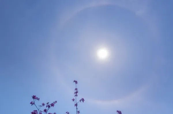 升温浪潮将席卷全国大部,哪些城市的升温幅度较大呢?