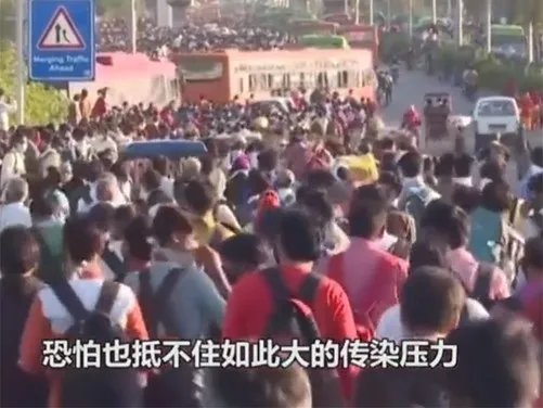 专家称印度将成全球疫情新爆点 连续2天日增超8万例