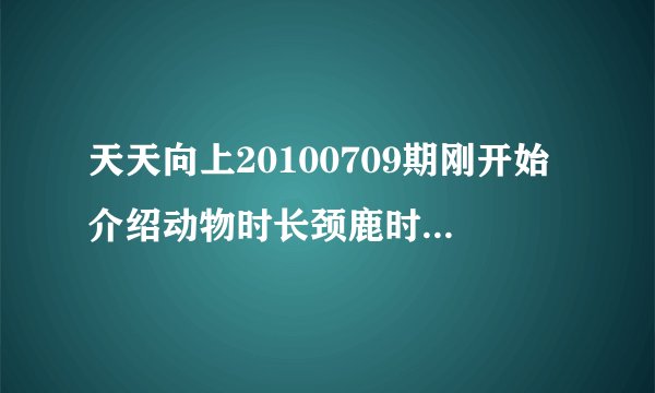 天天向上20100709期刚开始介绍动物时长颈鹿时的背景音乐？