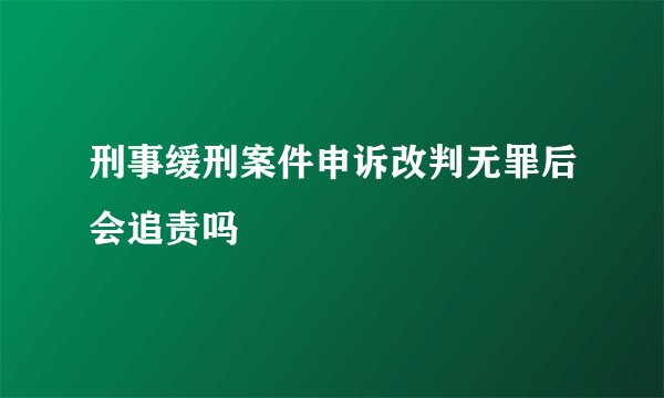 刑事缓刑案件申诉改判无罪后会追责吗