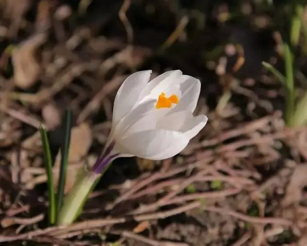 储户4亿存款在天津银行“人间蒸发”,4年谜团仍未解开,什么情况?