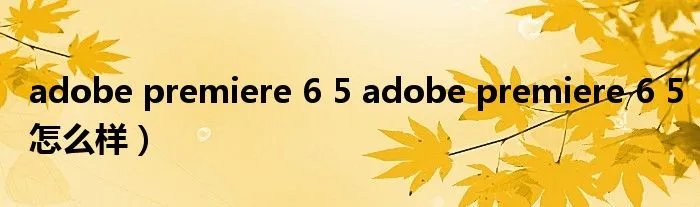 adobe premiere 6 5 adobe premiere 6 5怎么样)
