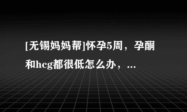 [无锡妈妈帮]怀孕5周，孕酮和hcg都很低怎么办，宝宝能保得住吗？有经验的jm说下呢