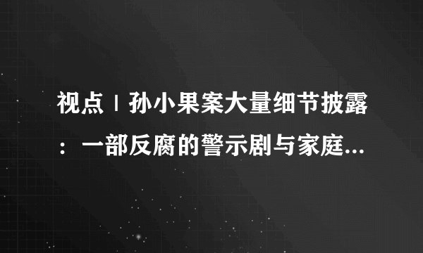 视点｜孙小果案大量细节披露：一部反腐的警示剧与家庭教育的悲剧