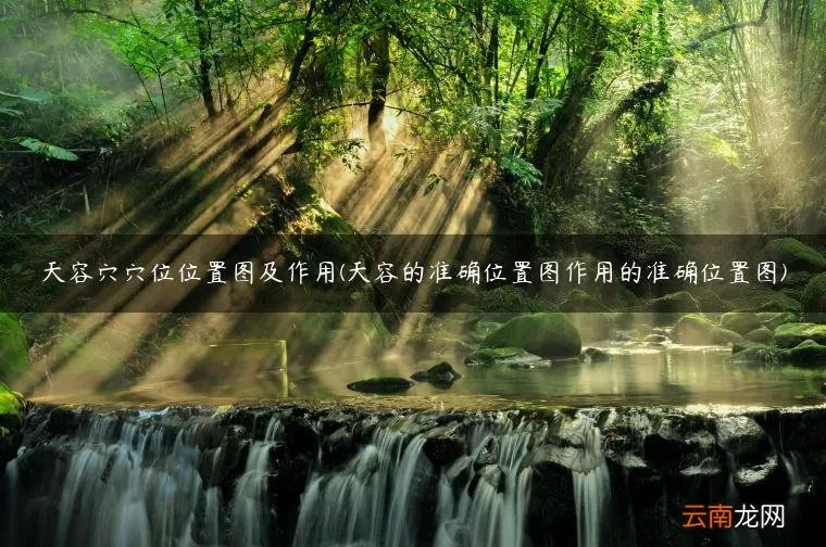 天容的准确位置图作用的准确位置图 天容穴穴位位置图及作用