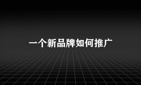 一个新品牌如何推广