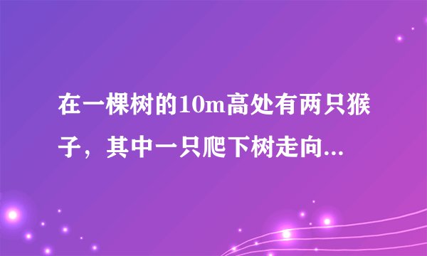 在一棵树的10m高处有两只猴子，其中一只爬下树走向离树20m的池塘，而另一只爬到树顶后直扑池塘？