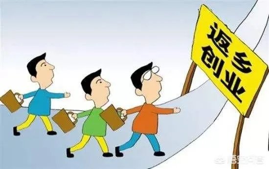 团中央三年内组织1000万人次青年志愿者下乡，你认为这将对农村有何深远影响？