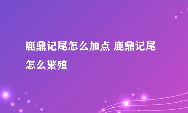 鹿鼎记尾怎么加点 鹿鼎记尾怎么繁殖