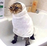 小情侣在床上嗨的飞起 让人羞羞的午间动图