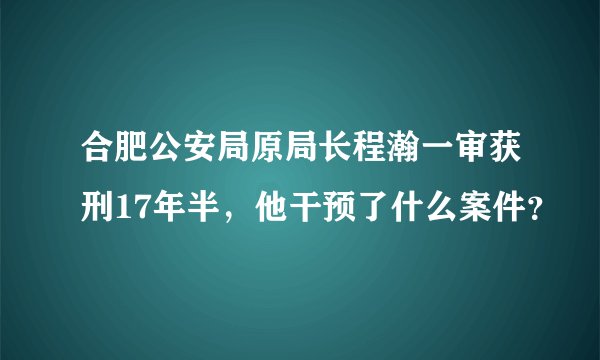 合肥公安局原局长程瀚一审获刑17年半，他干预了什么案件？