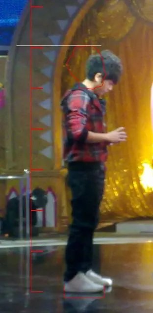 李毅吧的吧主九州志说武艺是个同性恋。是真的吗？