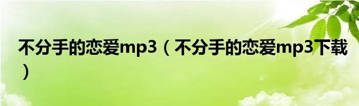 不分手的恋爱mp3（不分手的恋爱mp3下载）