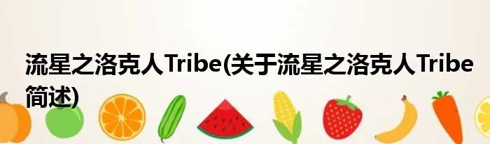 流星之洛克人Tribe(关于流星之洛克人Tribe简述)