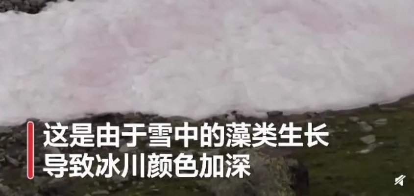 阿尔卑斯山出现粉色冰川 该现象出现的原因及带来的后果是什么