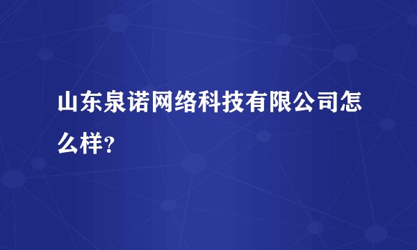 山东泉诺网络科技有限公司怎么样？