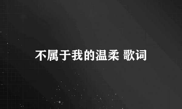 不属于我的温柔 歌词