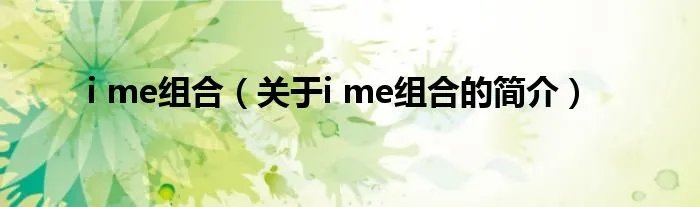i me组合（关于i me组合的简介）