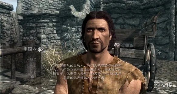 《上古卷轴5》种族选择推荐