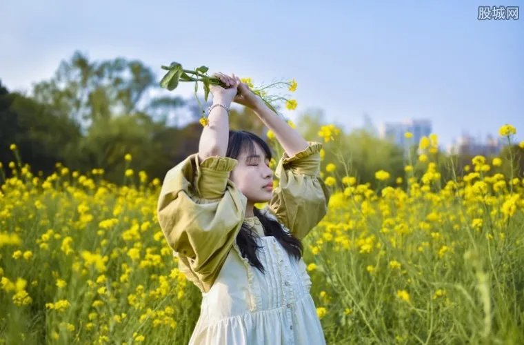 游客哄抢展览花 官方声明称其为景观道具假花