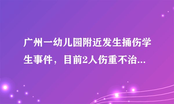 广州一幼儿园附近发生捅伤学生事件，目前2人伤重不治，嫌疑人自残死亡，还有哪些信息值得关注？