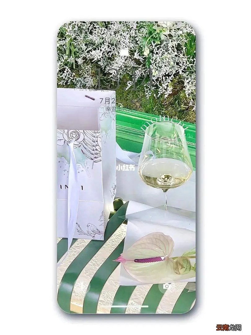 所见所领皆是生活什么意思