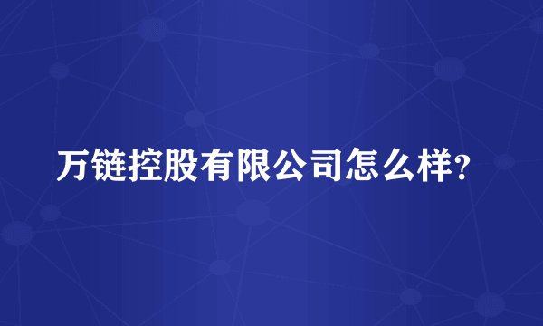 万链控股有限公司怎么样？