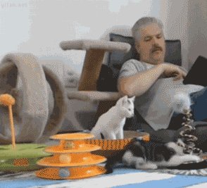 【每日G点】No.29 暴走漫画版提莫必须死